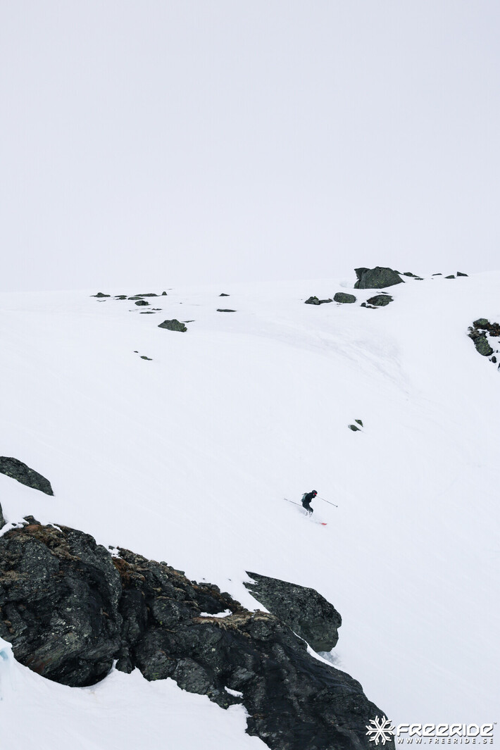 Bild från Ride the Cow 2026