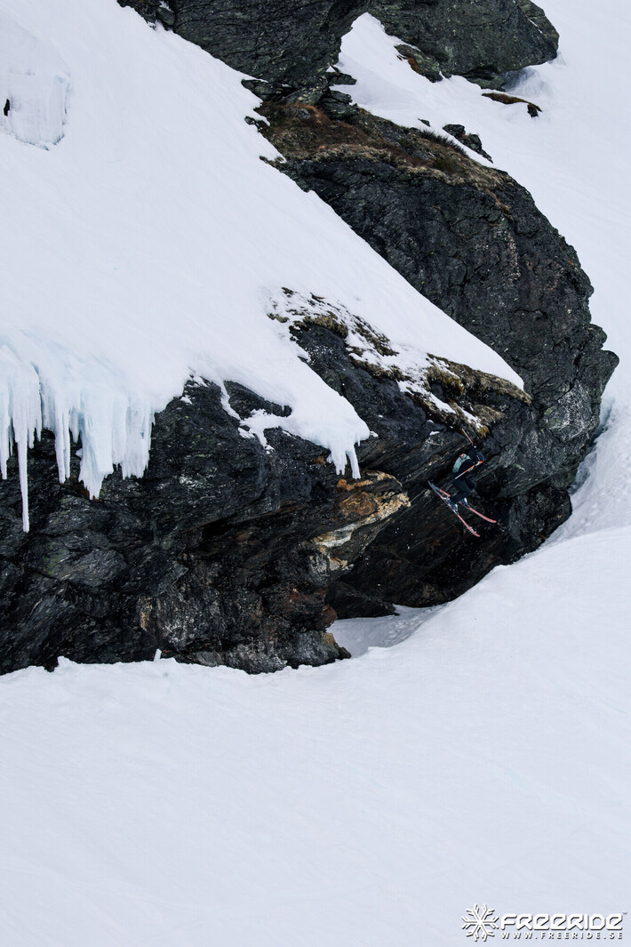 Bild från Ride the Cow 2026