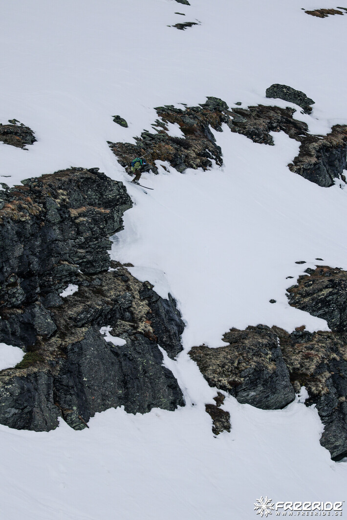 Bild från Ride the Cow 2026