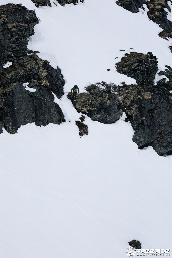 Bild från Ride the Cow 2026