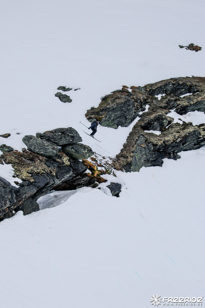 Bild från Ride the Cow 2026