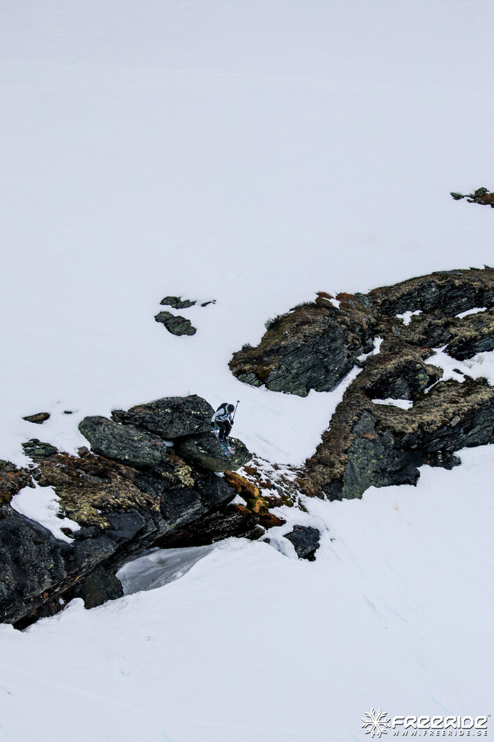 Bild från Ride the Cow 2026