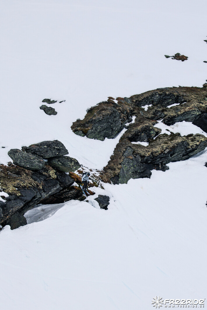 Bild från Ride the Cow 2026