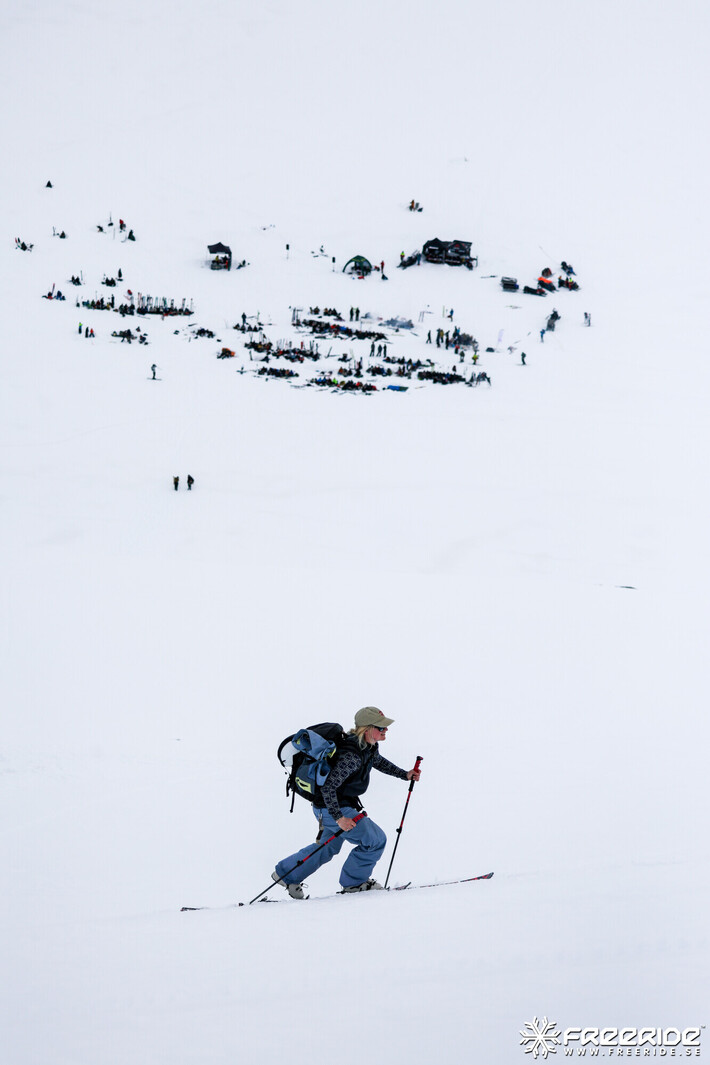 Bild från Ride the Cow 2026