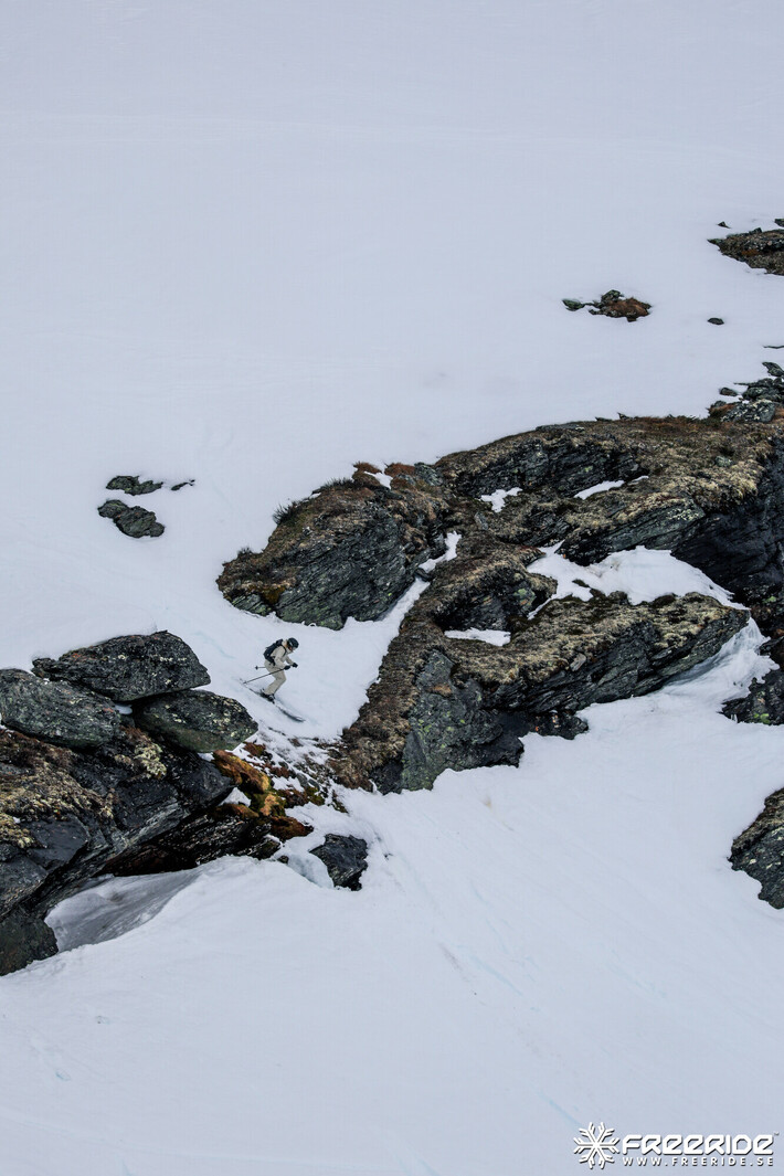 Bild från Ride the Cow 2026