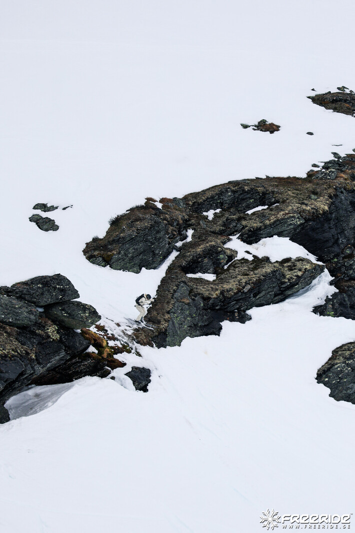 Bild från Ride the Cow 2026