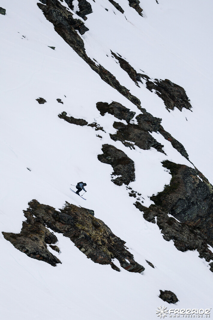 Bild från Ride the Cow 2026