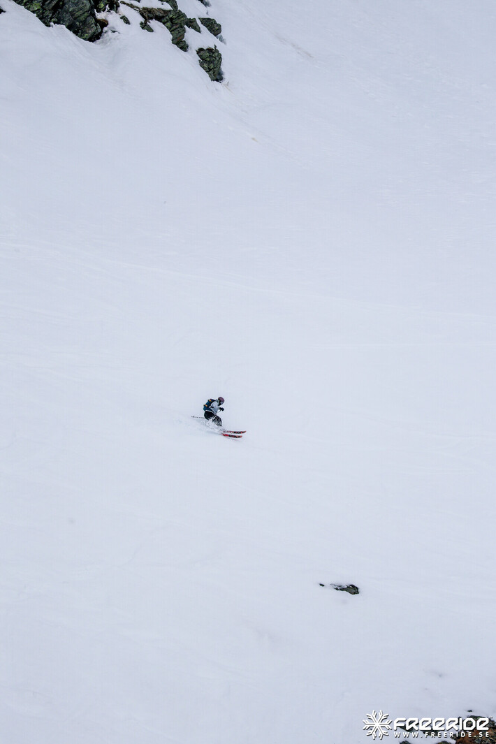 Bild från Ride the Cow 2026