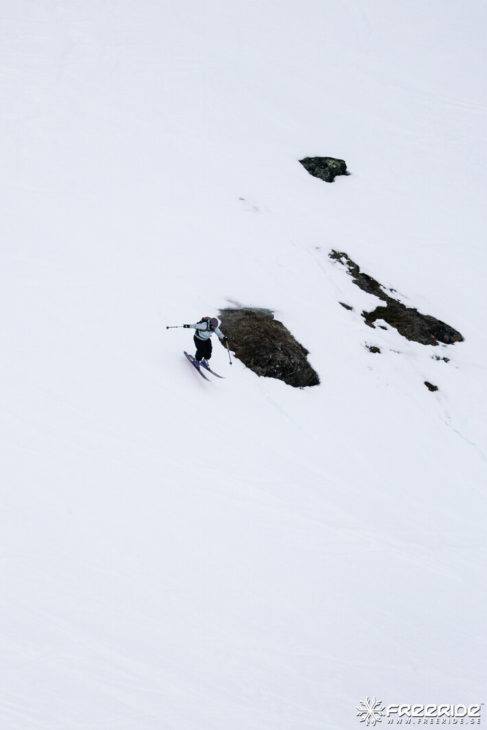 Bild från Ride the Cow 2026