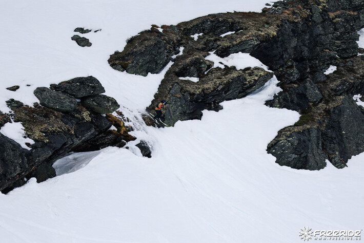 Bild från Ride the Cow 2026