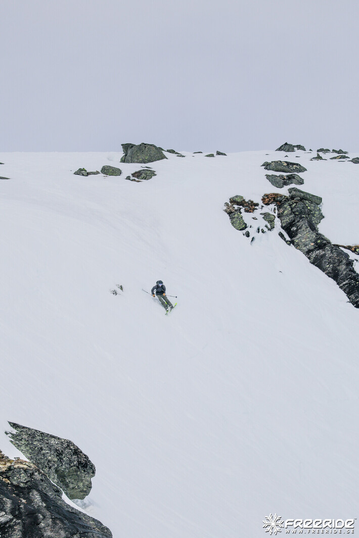 Bild från Ride the Cow 2026