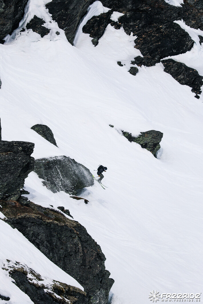 Bild från Ride the Cow 2026