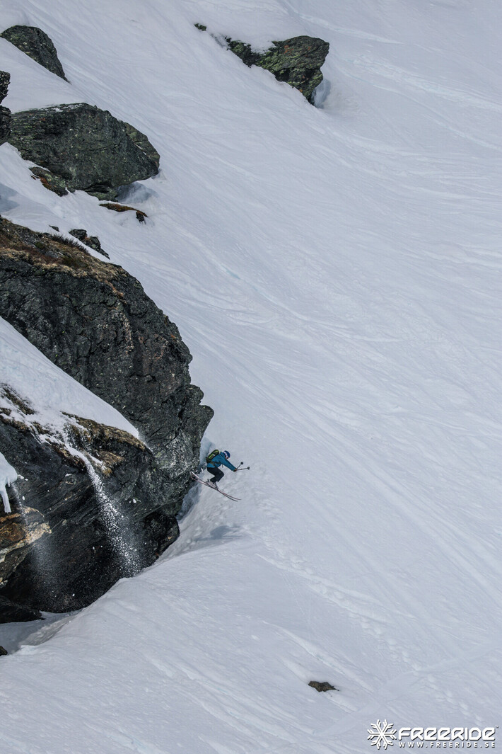 Bild från Ride the Cow 2026