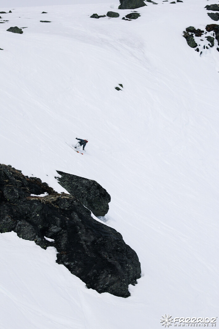 Bild från Ride the Cow 2026