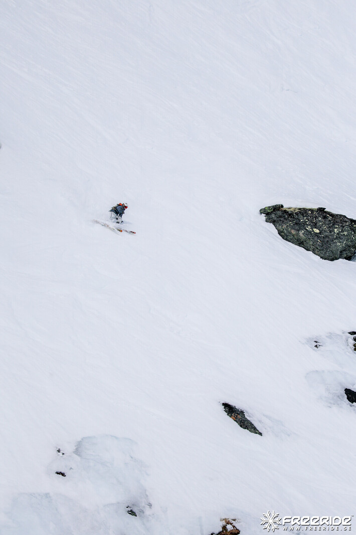 Bild från Ride the Cow 2026