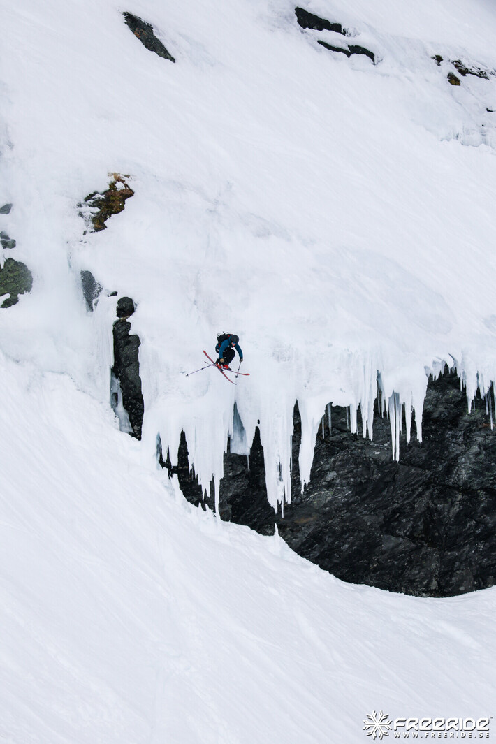 Bild från Ride the Cow 2026