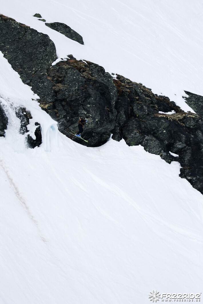 Bild från Ride the Cow 2026