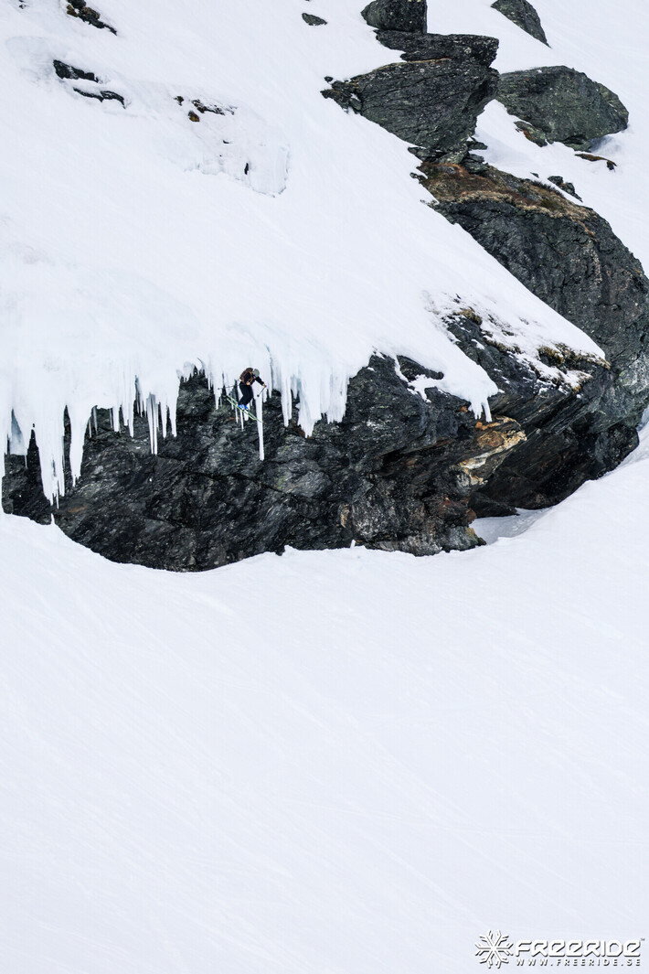 Bild från Ride the Cow 2026