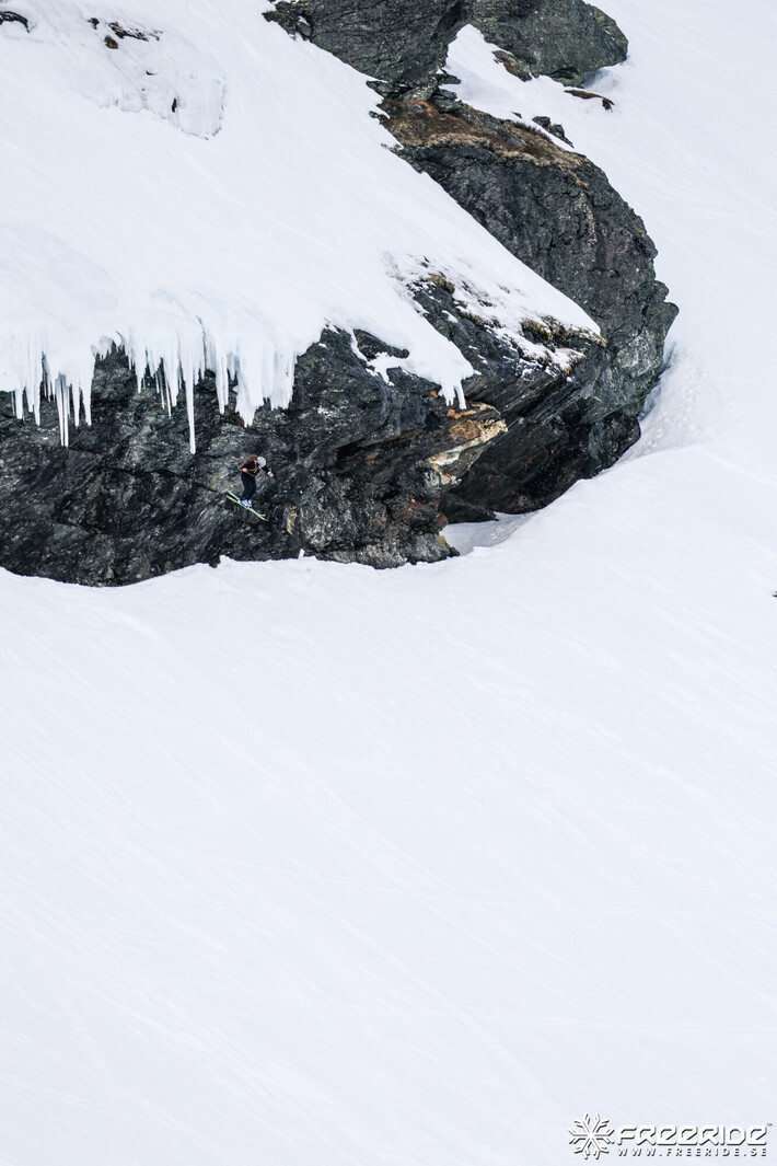 Bild från Ride the Cow 2026