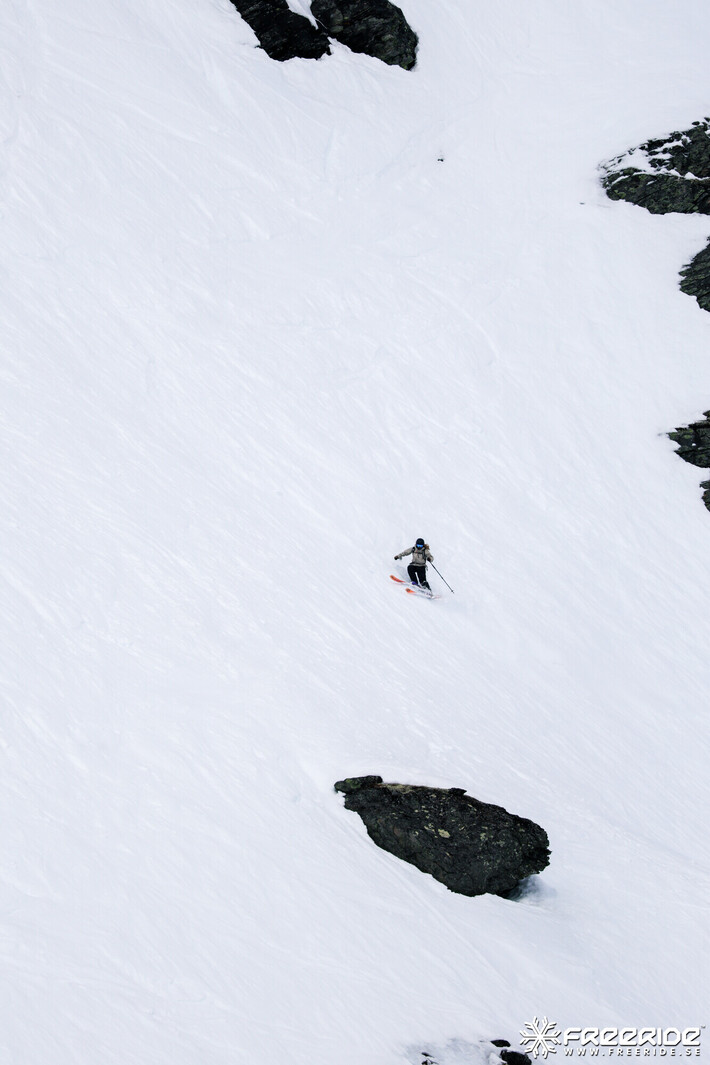 Bild från Ride the Cow 2026