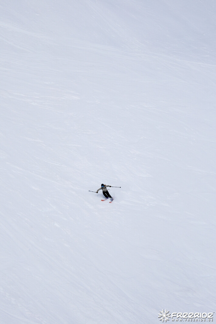 Bild från Ride the Cow 2026