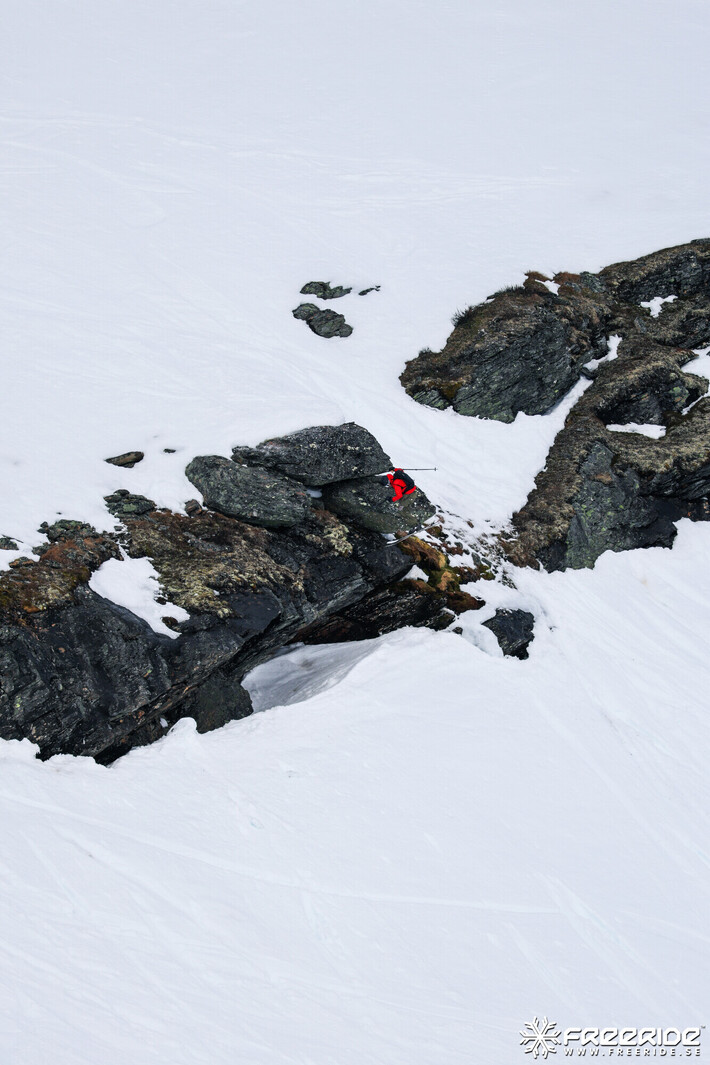 Bild från Ride the Cow 2026