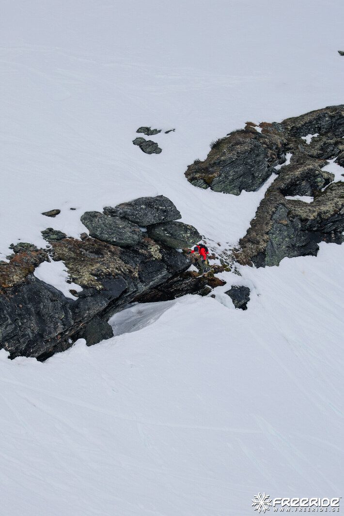 Bild från Ride the Cow 2026