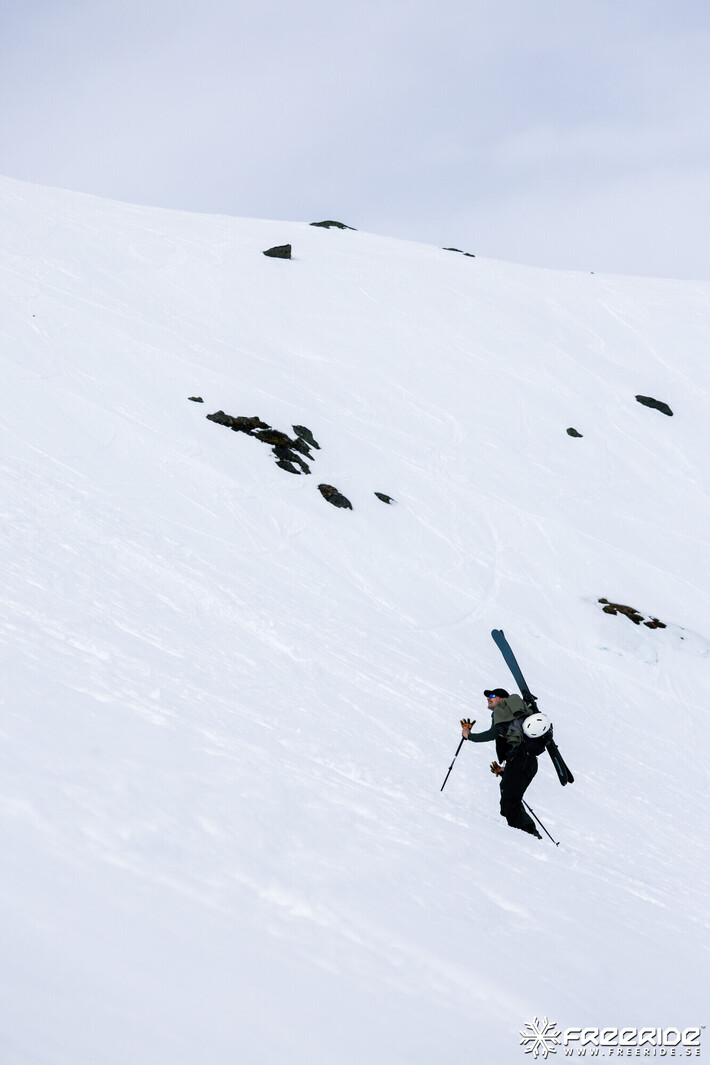 Bild från Ride the Cow 2026