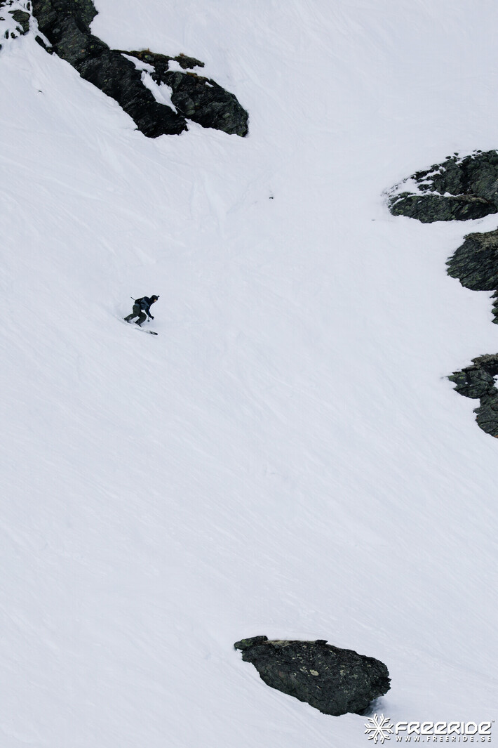 Bild från Ride the Cow 2026