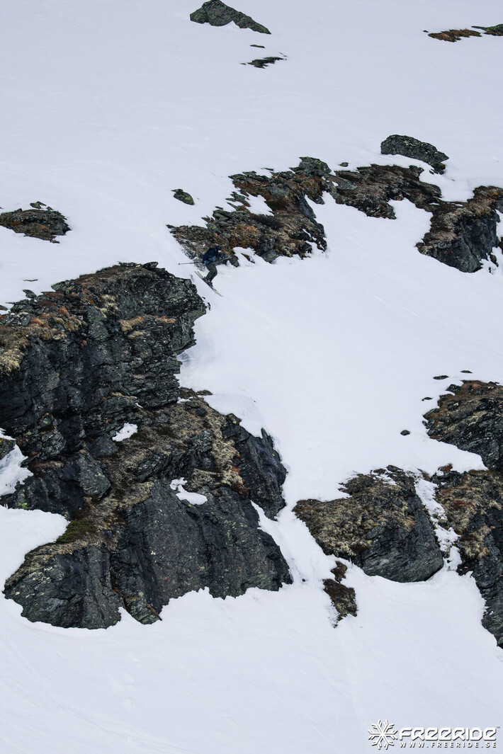 Bild från Ride the Cow 2026