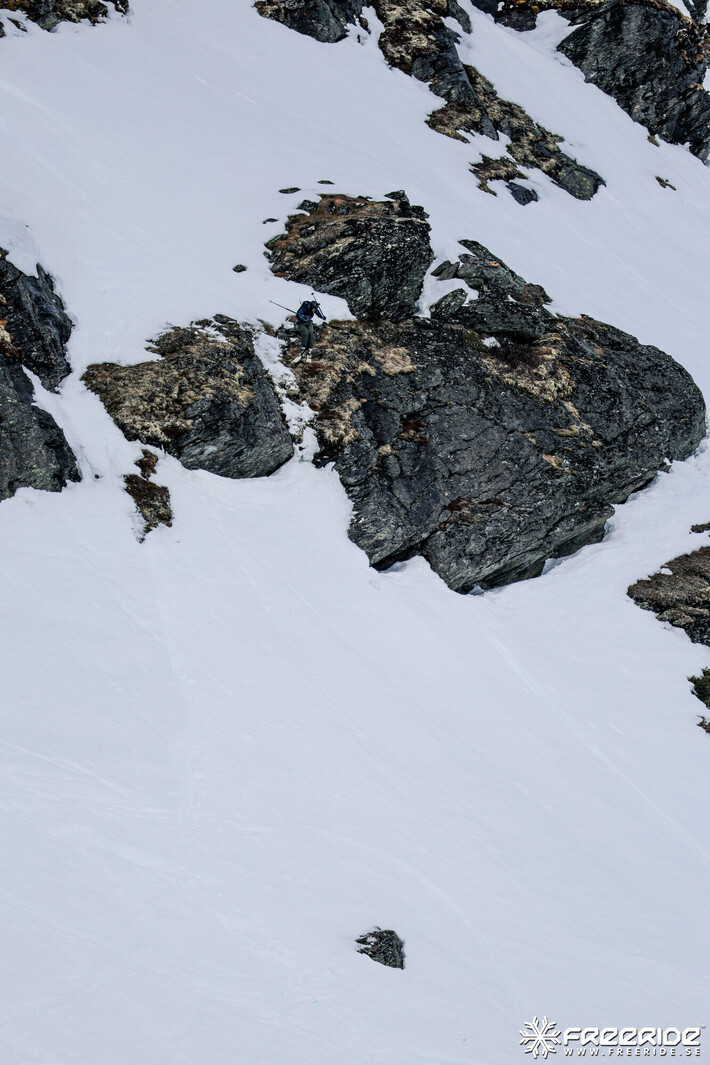 Bild från Ride the Cow 2026