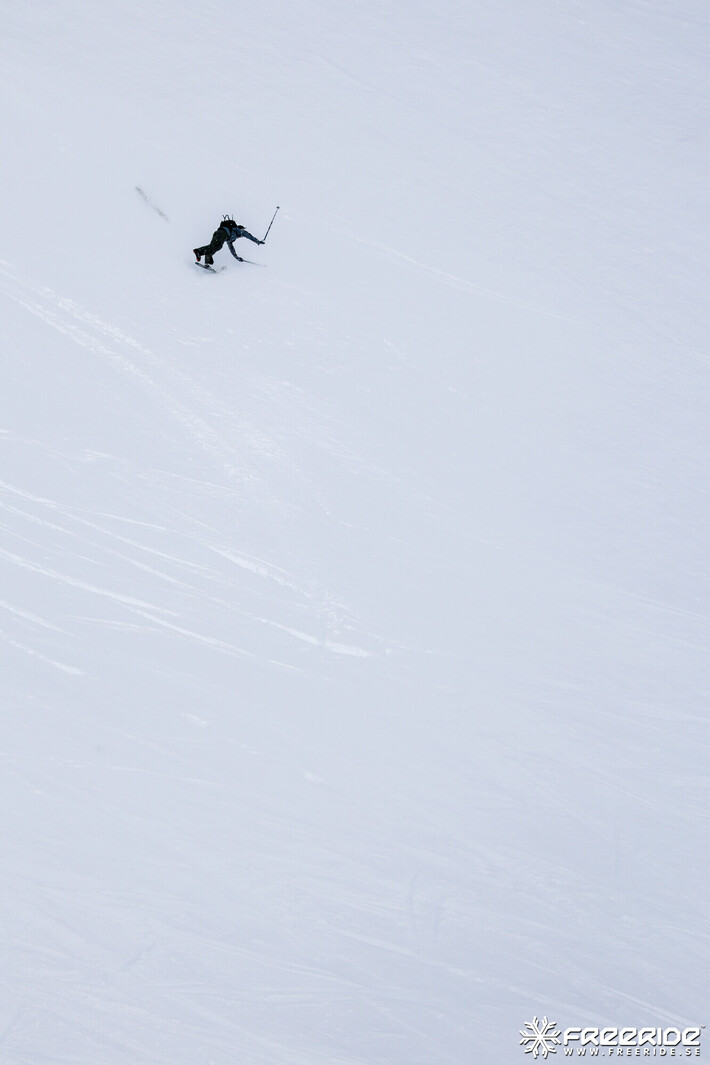 Bild från Ride the Cow 2026