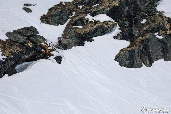 Bild från Ride the Cow 2026