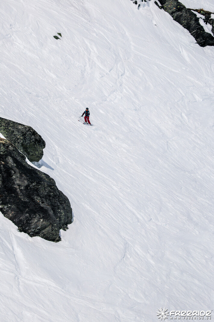 Bild från Ride the Cow 2026