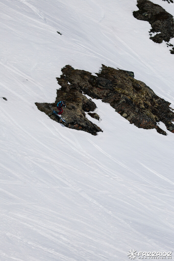 Bild från Ride the Cow 2026