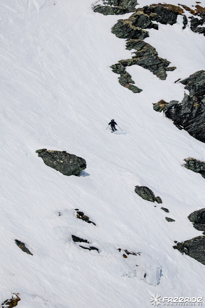 Bild från Ride the Cow 2026