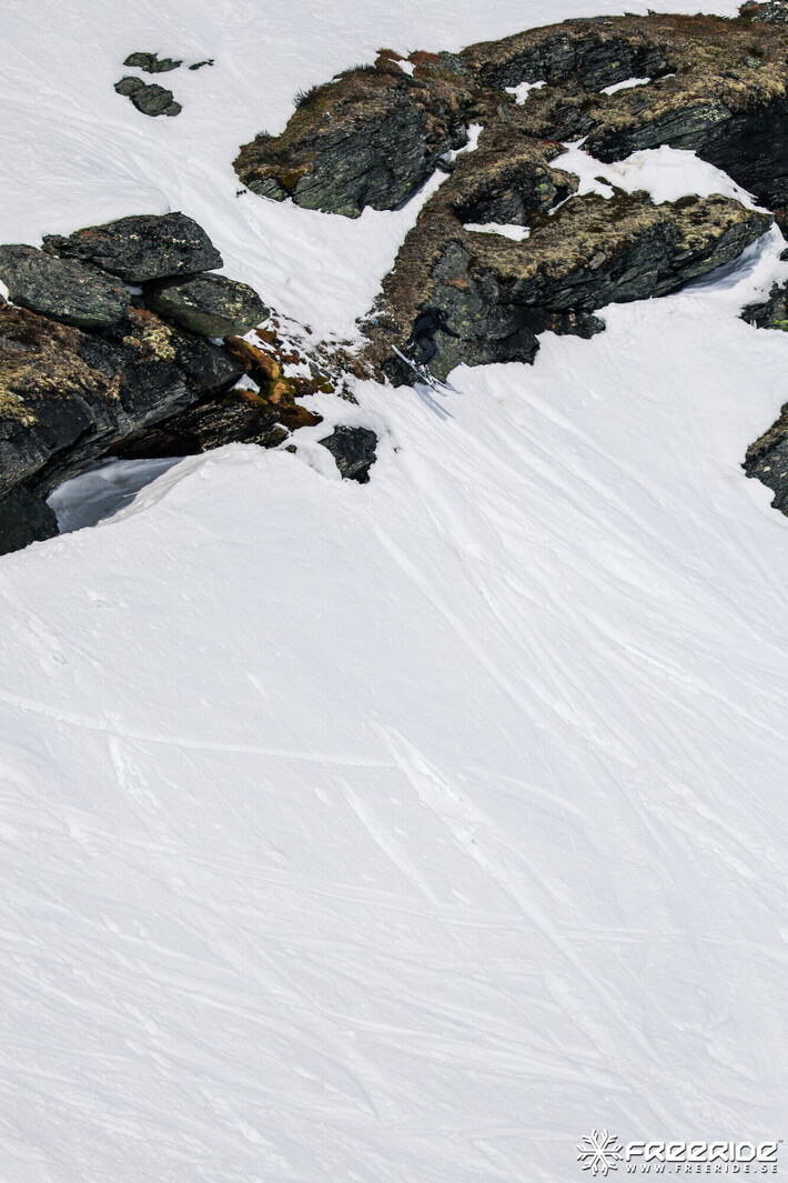 Bild från Ride the Cow 2026