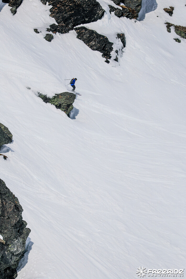 Bild från Ride the Cow 2026