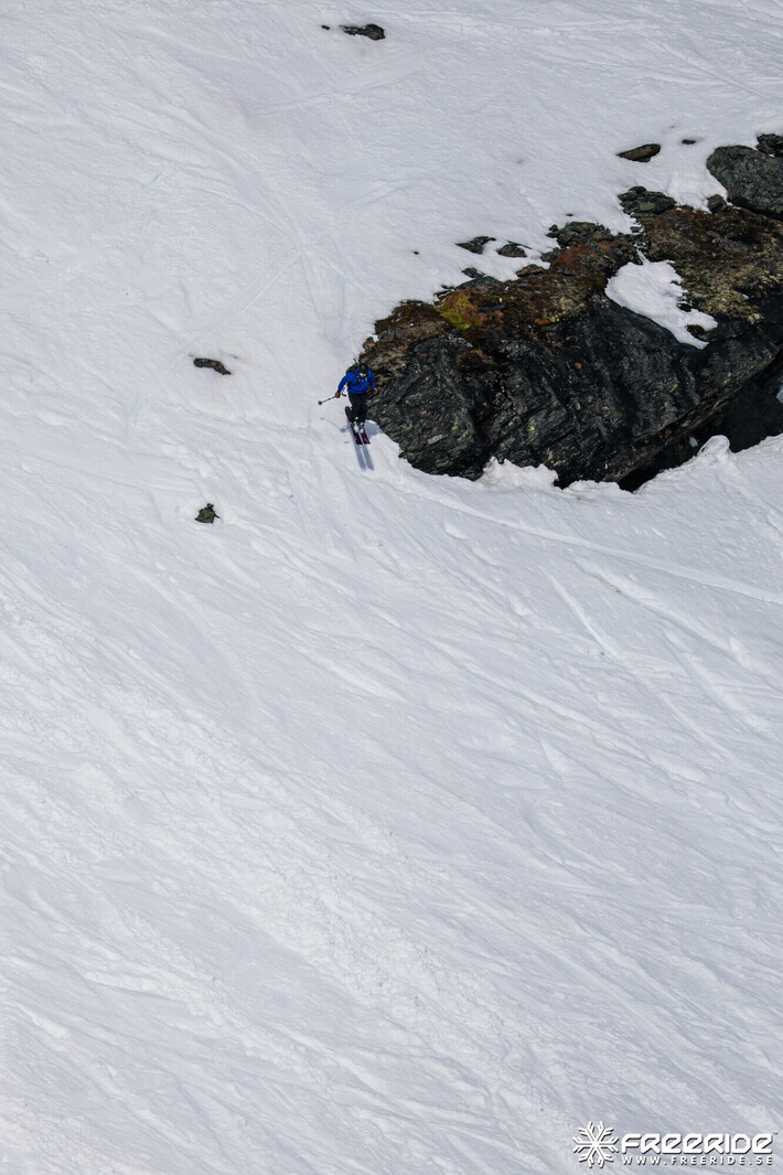 Bild från Ride the Cow 2026