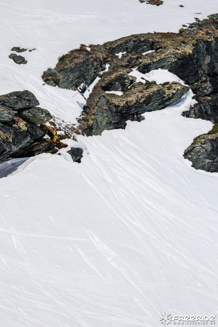 Bild från Ride the Cow 2026