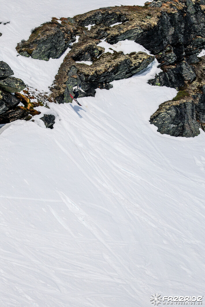 Bild från Ride the Cow 2026