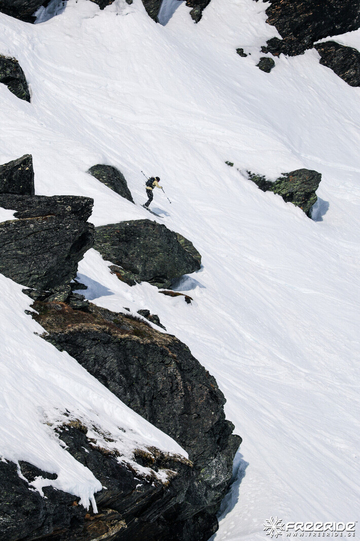 Bild från Ride the Cow 2026