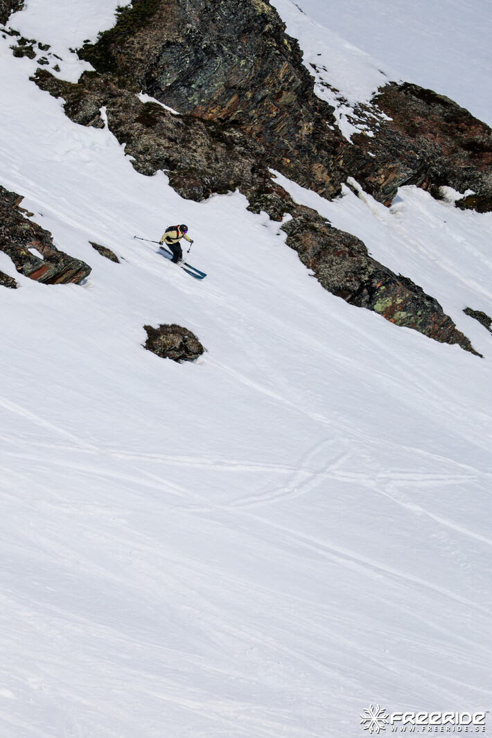 Bild från Ride the Cow 2026