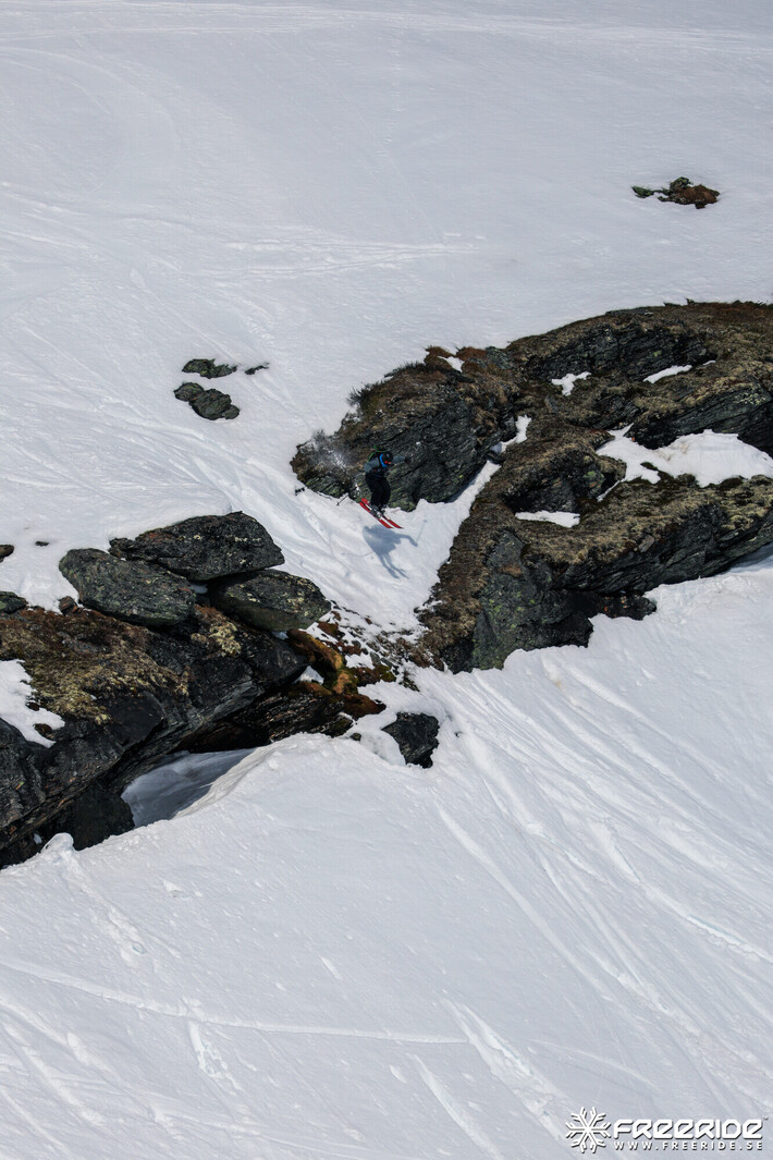 Bild från Ride the Cow 2026