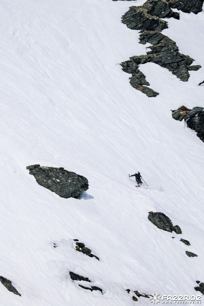 Bild från Ride the Cow 2026