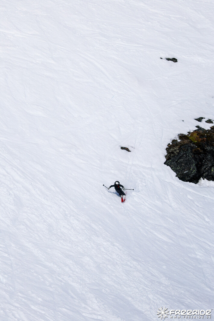 Bild från Ride the Cow 2026