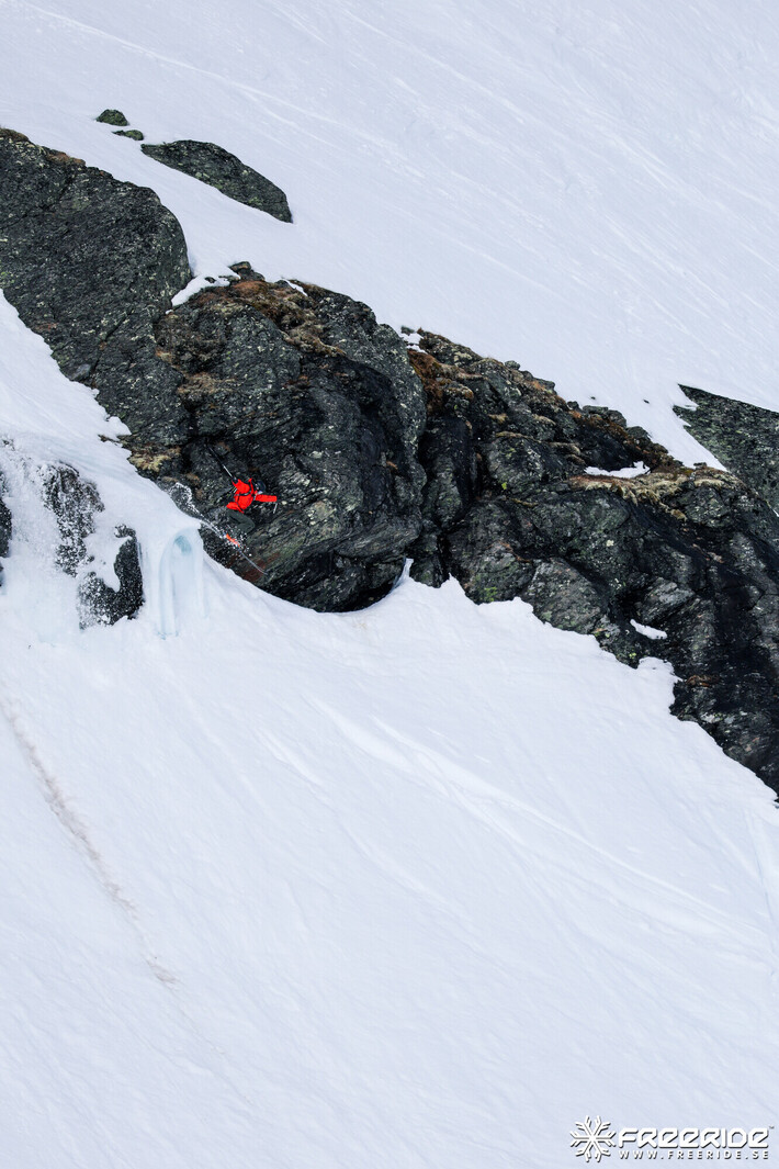 Bild från Ride the Cow 2026