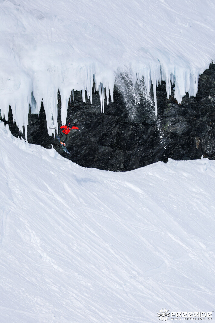 Bild från Ride the Cow 2026