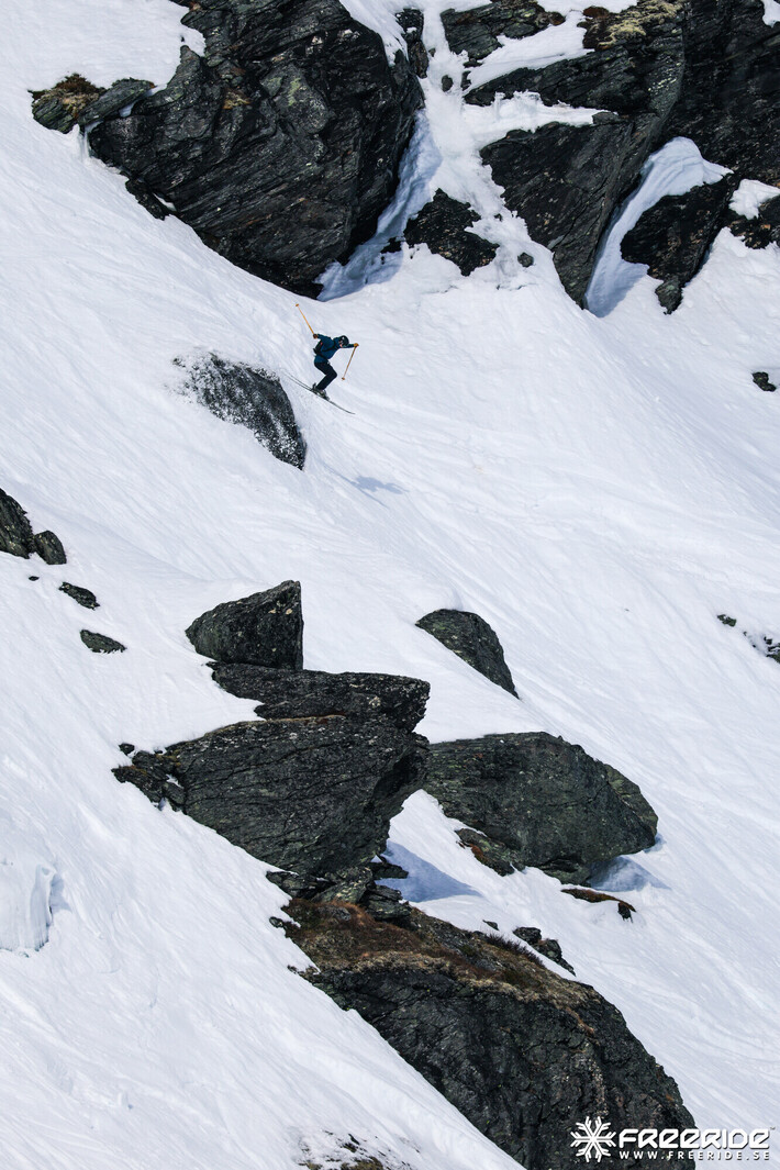 Bild från Ride the Cow 2026