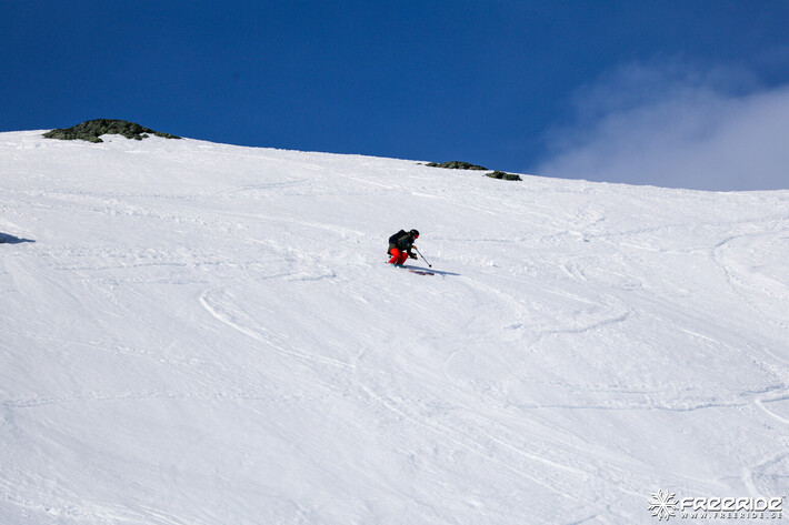 Bild från Ride the Cow 2026